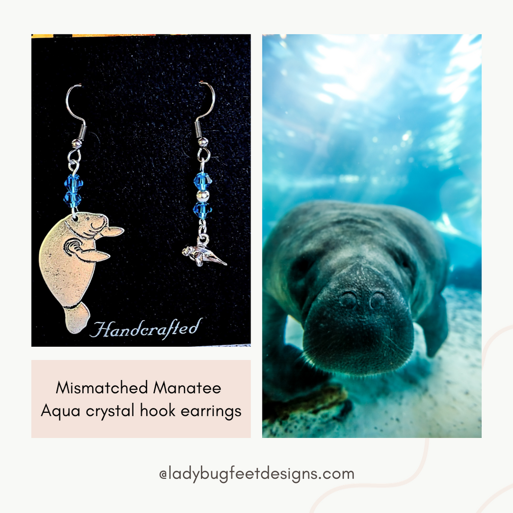 Mismatched Manatee Aqua crystal hook earrings