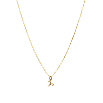 Zodiac Symbol Necklace, Gold - 12 - 24 inches
