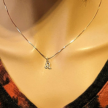 Sterling Silver Zodiac Symbol Necklace - 12 - 24 inches