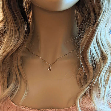 Rose-Gold Zodiac Symbol Necklace - 17 inches