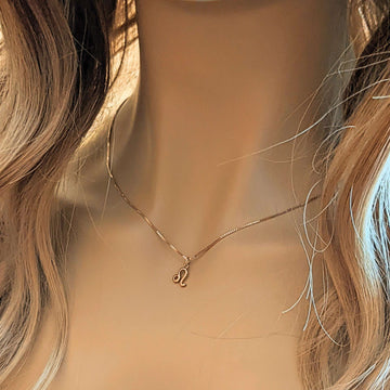 Rose-Gold Zodiac Symbol Necklace - 17 inches