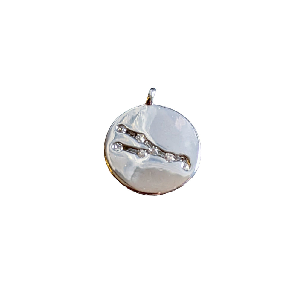 Silver Zodiac Constellation Necklace - 12-24 inch