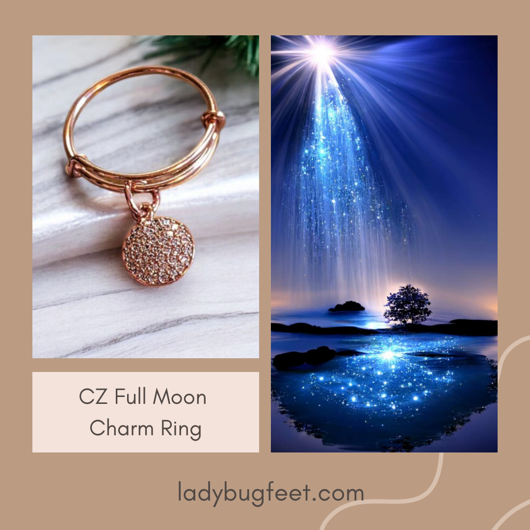 CZ Full Moon Rose Gold Circle Ring 5-7