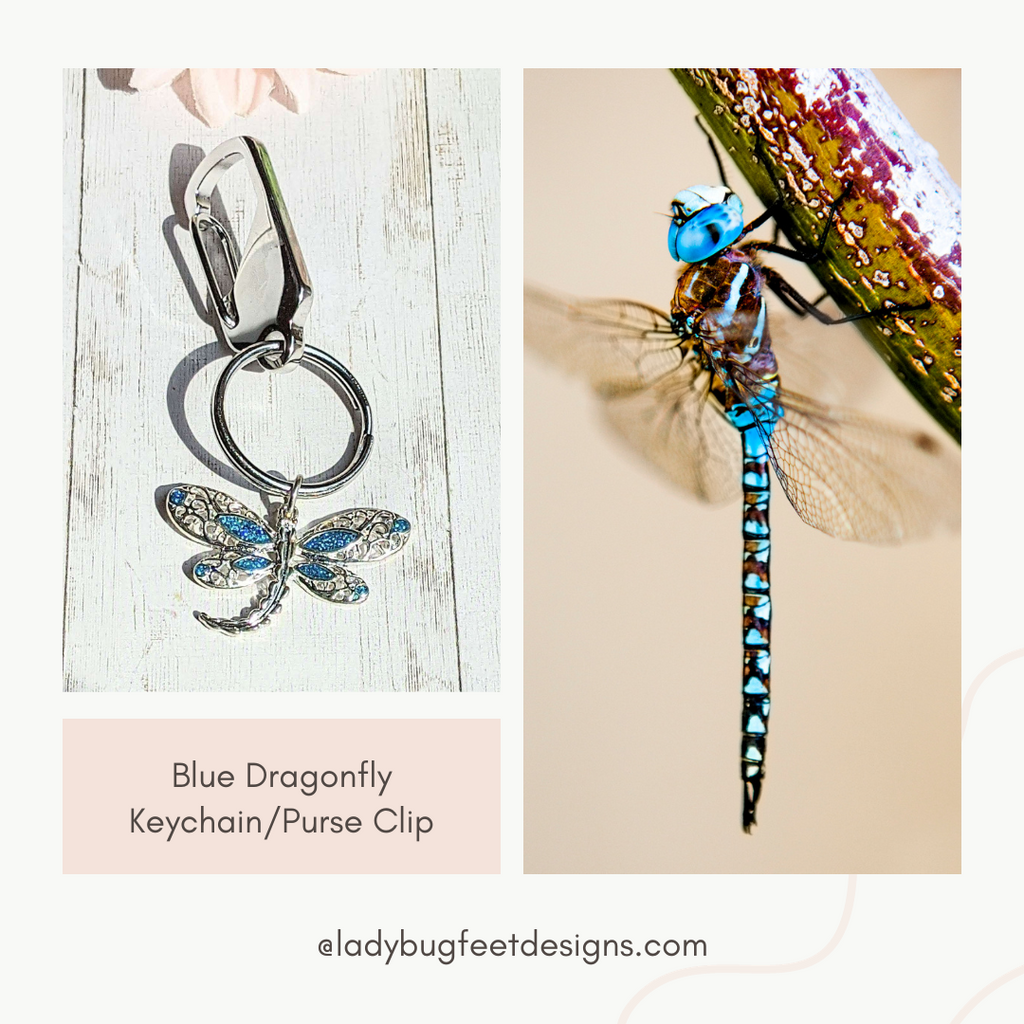 Blue Dragonfly Keychain/Purse Clip