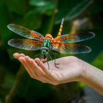 Dragonfly Euro Cuff Wrap Bracelet