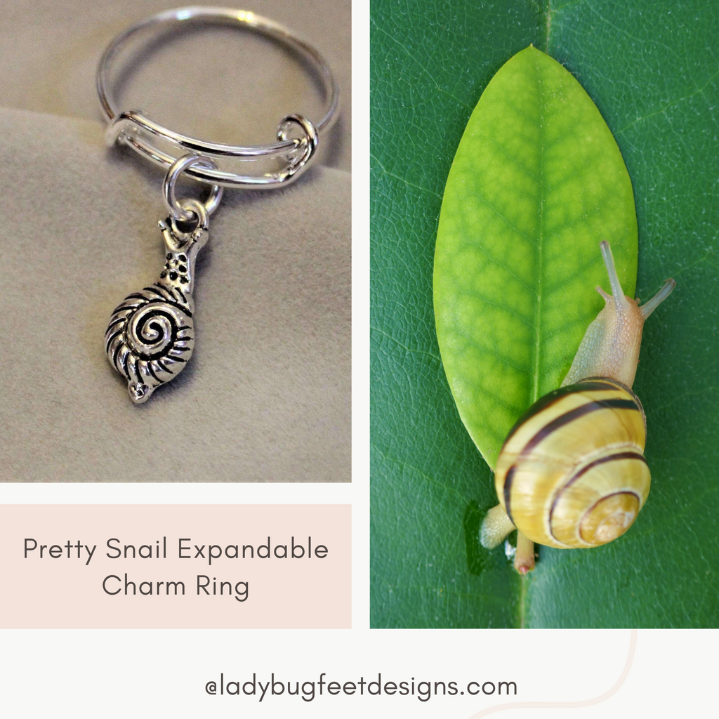 Pretty Snail Expandable Charm Ring