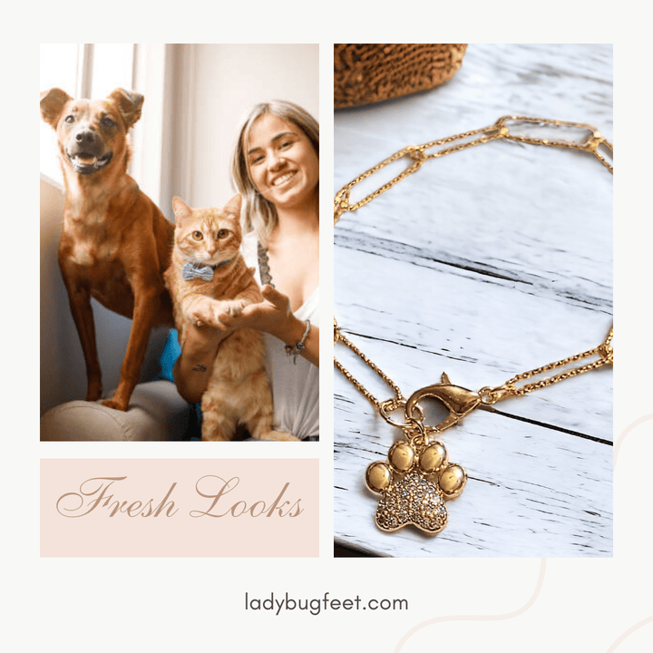 Gold Dog/Cat Paw Paperclip Chain Bracelet