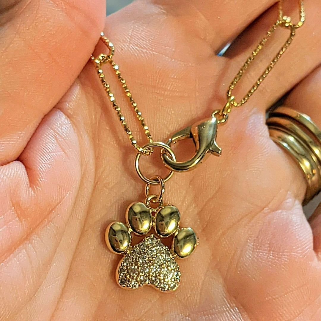Gold Dog/Cat Paw Paperclip Chain Bracelet