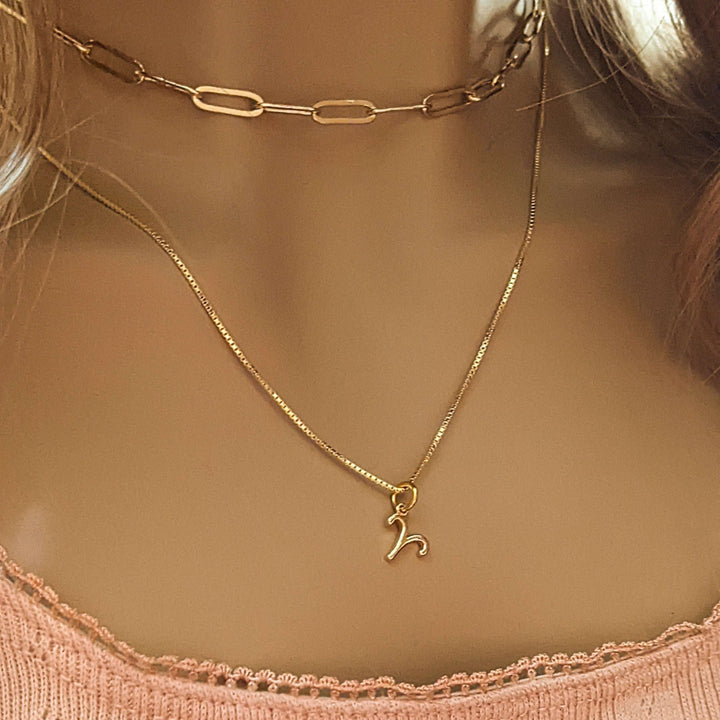 Zodiac Symbol Necklace, Gold - 12 - 24 inches