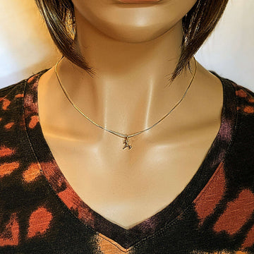 Zodiac Symbol Necklace, Gold - 12 - 24 inches
