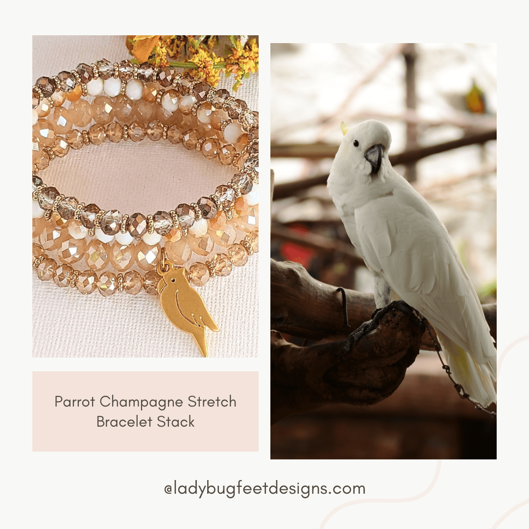 Parrot Champagne Stretch Bracelet Stack
