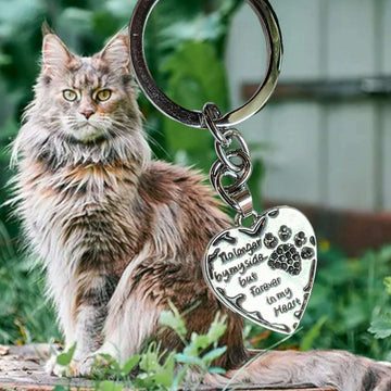 Pet Bereavement Heart Key Chain, Key Holder