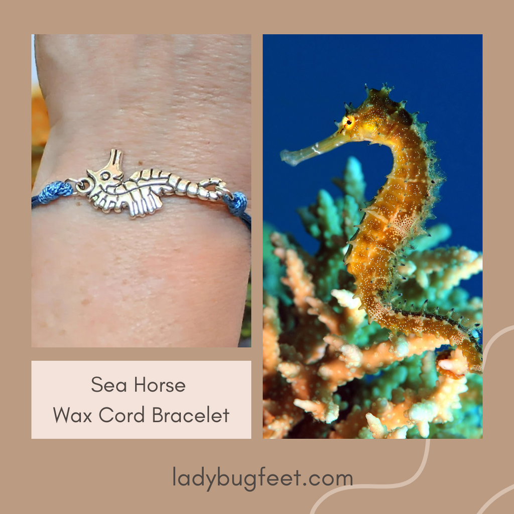 Seahorse Waxed Cord surfer Bracelet