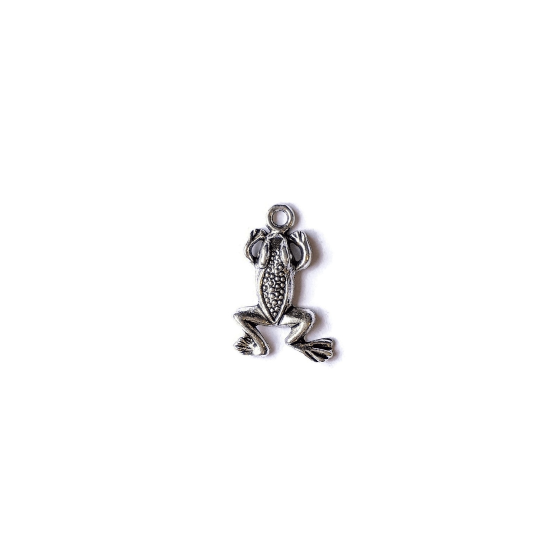 Silver Frog Charm