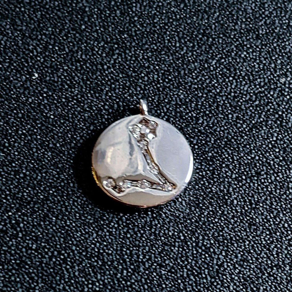 Silver Zodiac Constellation Necklace - 12-24 inch Pisces (February 19 – March 20)