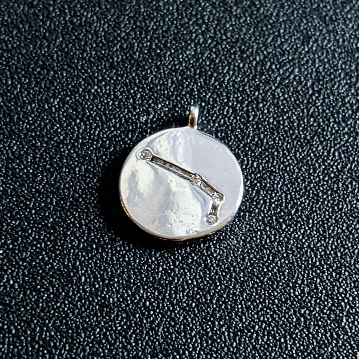 Silver Zodiac Constellation Necklace - 12-24 inch