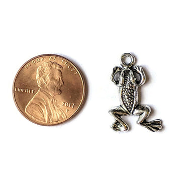Silver Frog Charm